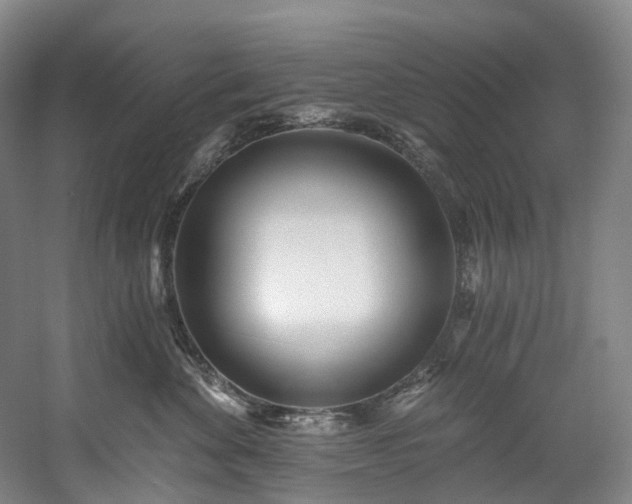 X0000058810524200509301236