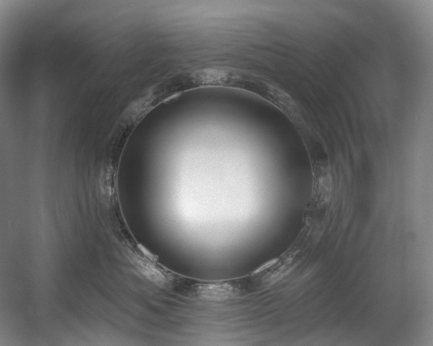 X0000058810525200509301236