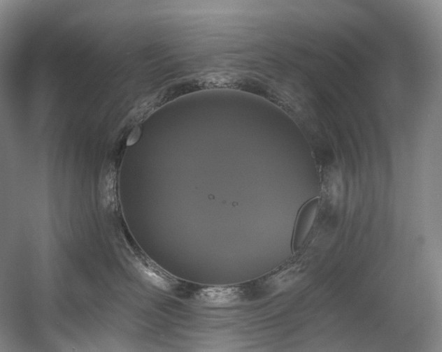 X0000058810526200509301236