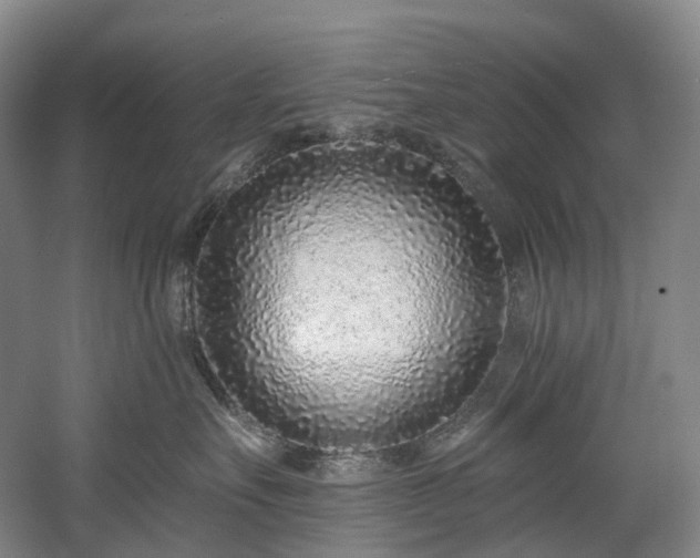 X0000058810527200509301236