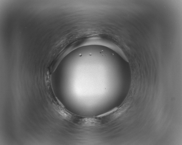 X0000058810528200509301236