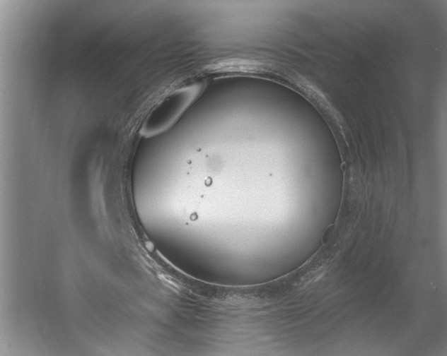 X0000058810529200509301236