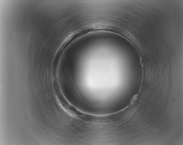 X0000058810530200509301236