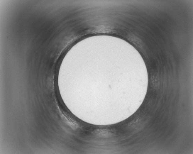 X0000058810534200509301236