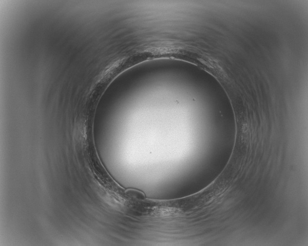 X0000058810539200509301236