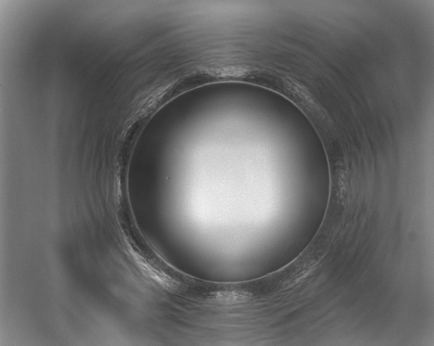 X0000058810541200509301236