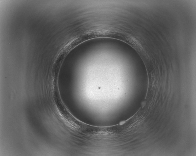 X0000058810542200509301236