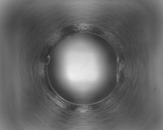 X0000058810563200509301236