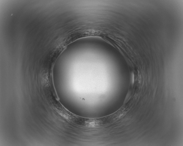 X0000058810564200509301236