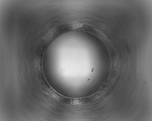 X0000058810565200509301236