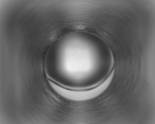 X0000058810568200509301236