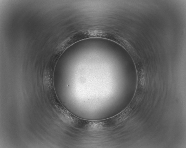 X0000058810569200509301236