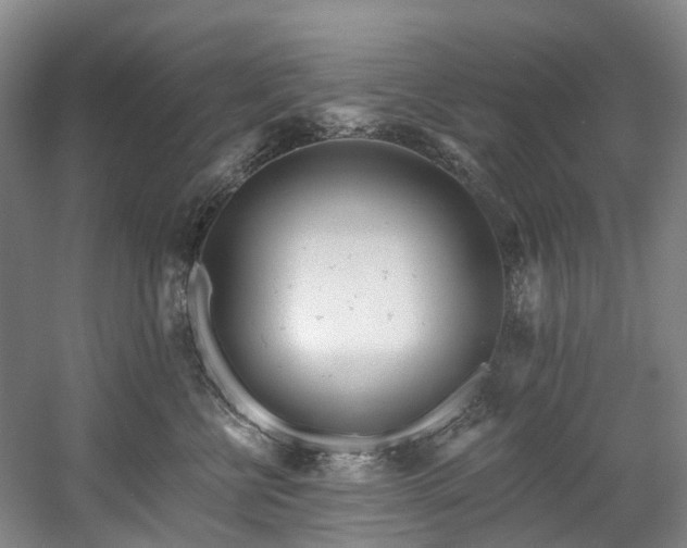 X0000058810570200509301236