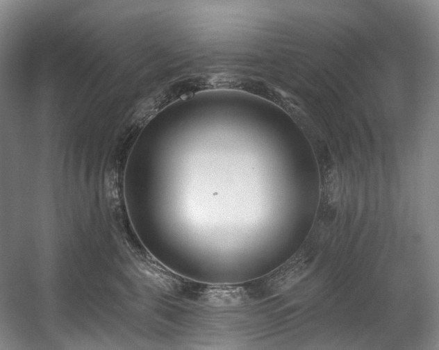 X0000058810571200509301236