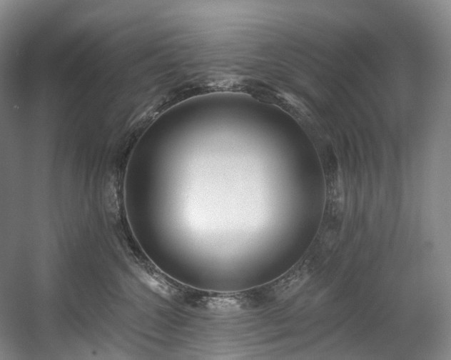 X0000058810572200509301236