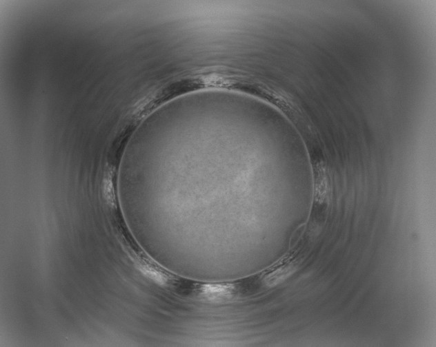 X0000058810573200509301236