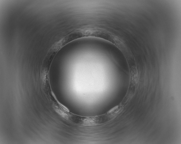 X0000058810574200509301236