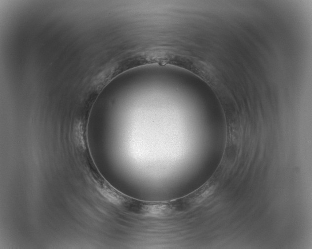 X0000058810575200509301236