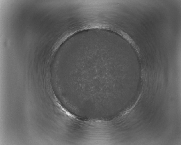 X0000058810577200509301236