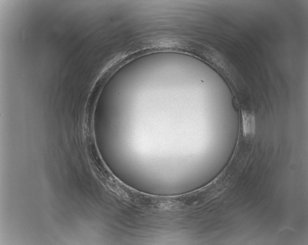 X0000058810579200509301236