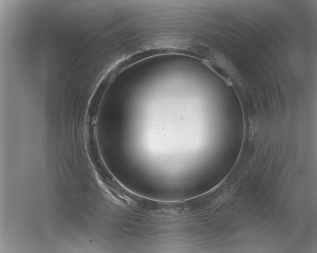 X0000058810580200509301236