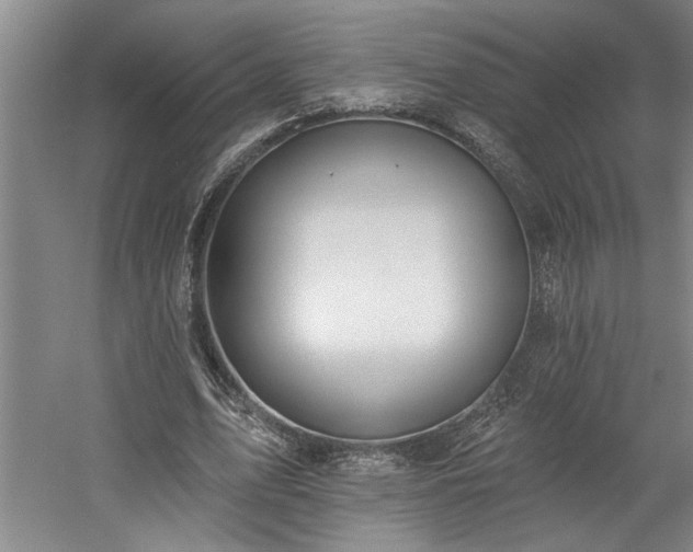 X0000058810583200509301235