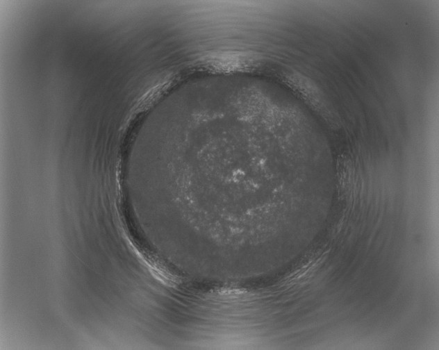 X0000058810590200509301235