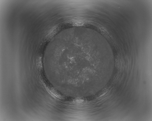 X0000058810598200509301235