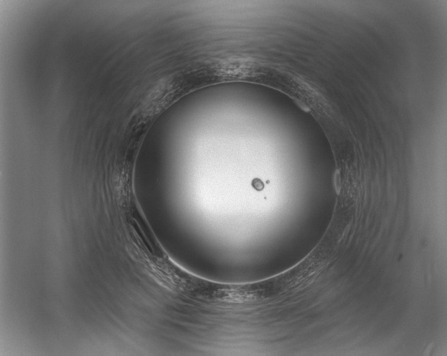 X0000058810601200509301235