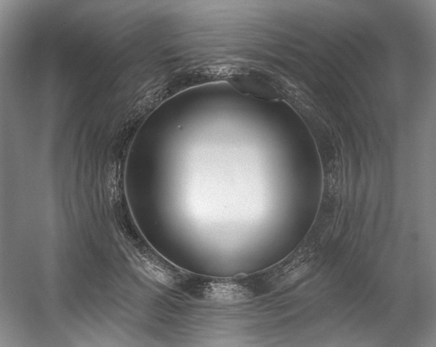 X0000058810605200509301235