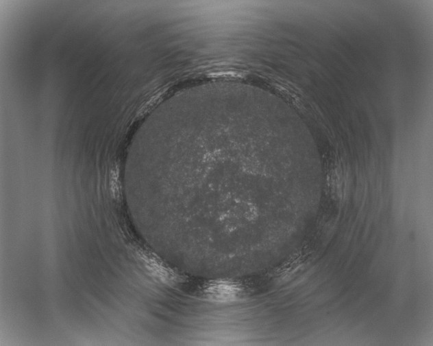 X0000058810610200509301235