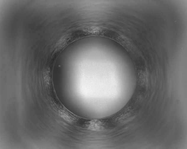 X0000058810612200509301235