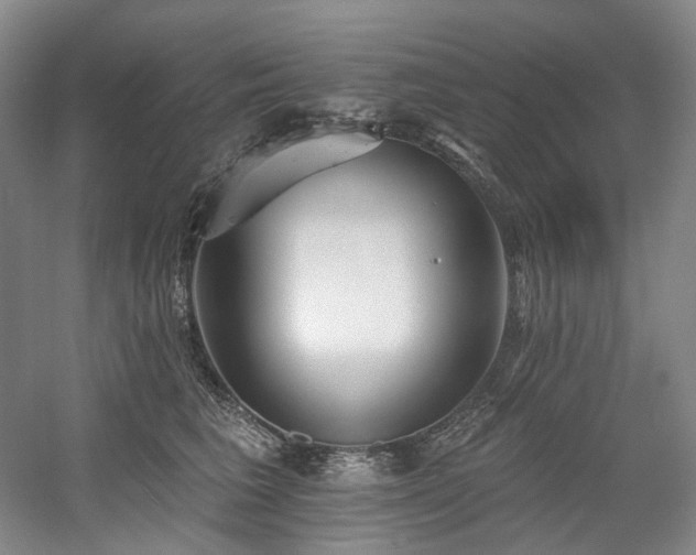 X0000058810613200509301235