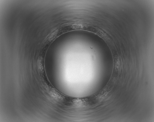 X0000058810616200509301235