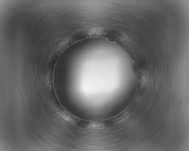 X0000058810619200509301235