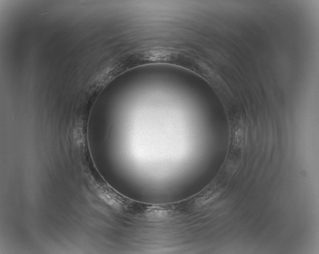 X0000058810620200509301235