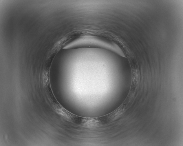 X0000058810621200509301235