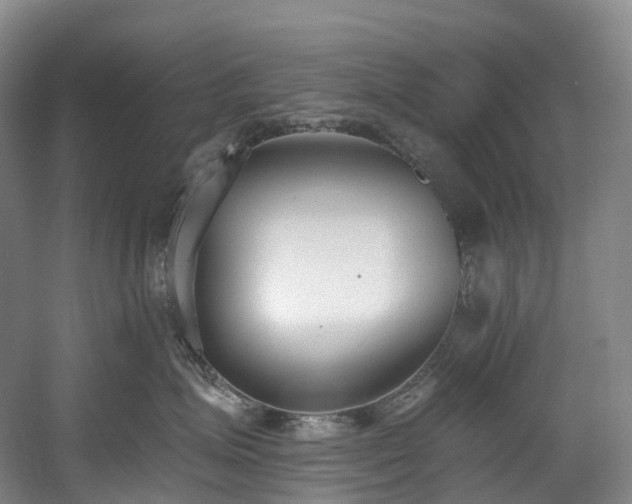 X0000058810623200509301235