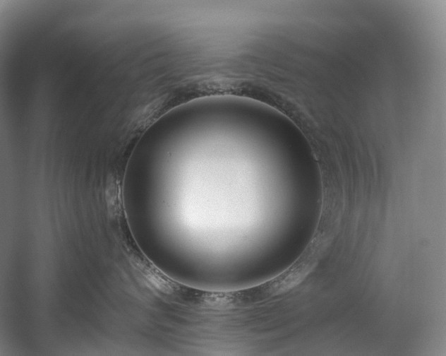 X0000058810624200509301235