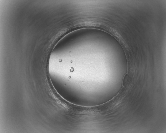 X0000058810625200509301234