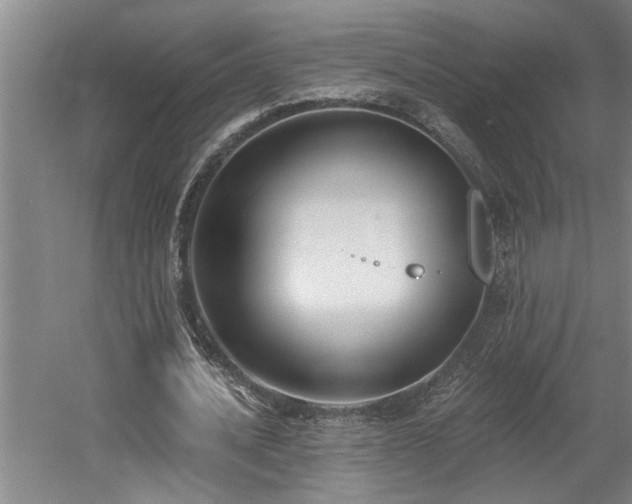 X0000058810628200509301234