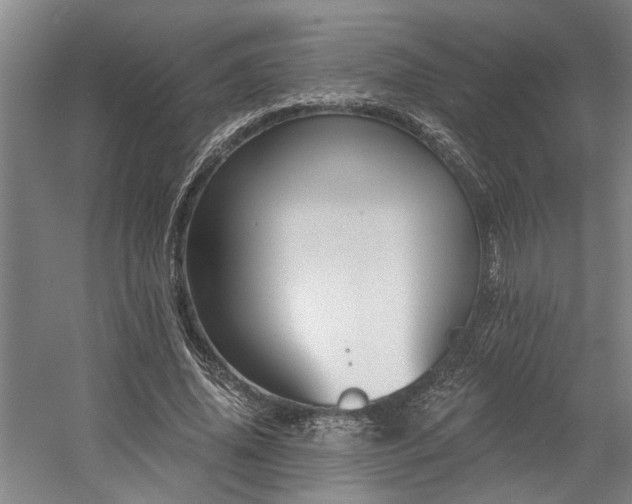 X0000058810636200509301234