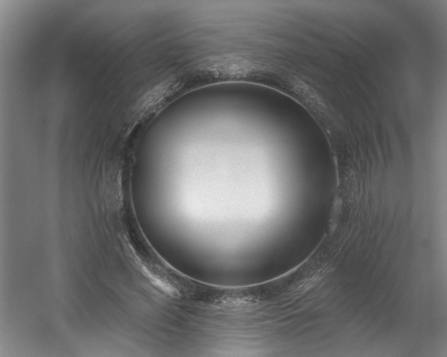 X0000058810638200509301234