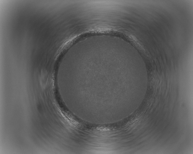 X0000058810640200509301234