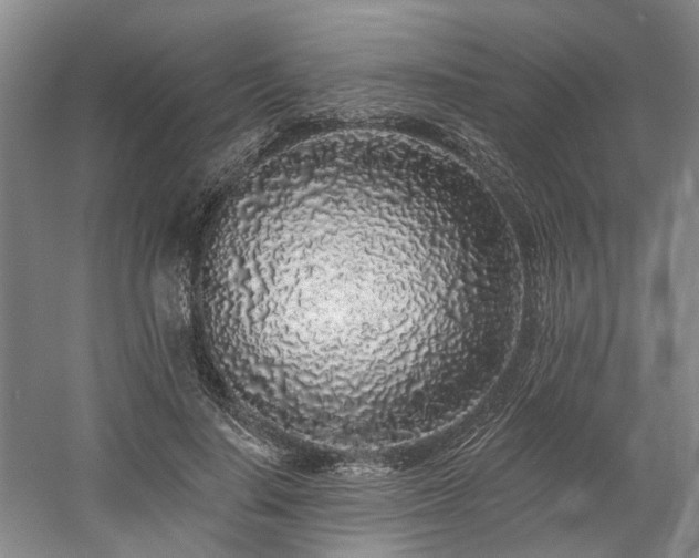 X0000058810644200509301234