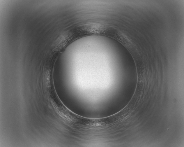 X0000058810646200509301234