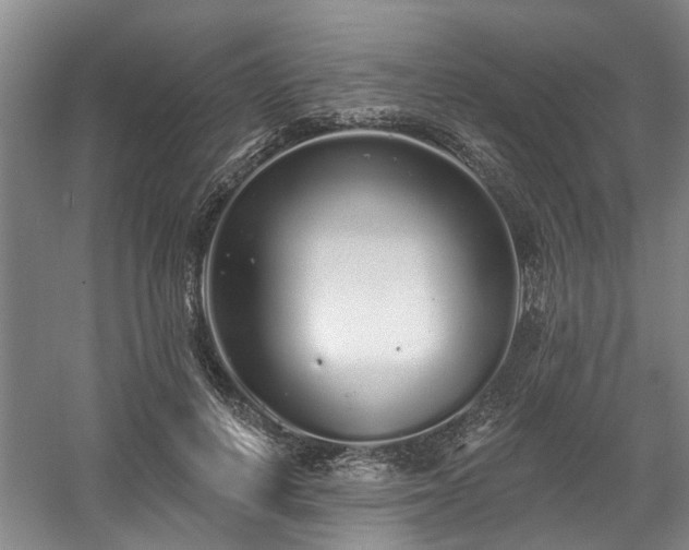 X0000058810648200509301234