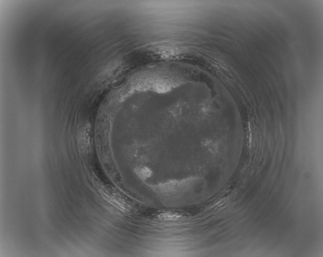 X0000058810650200509301234