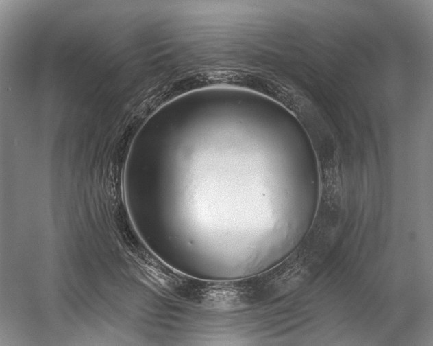 X0000058810653200509301234