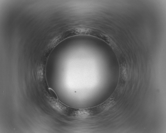 X0000058810668200509301235